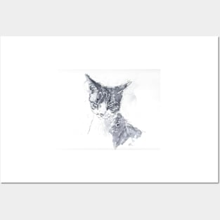 Cat in monochrome Posters and Art